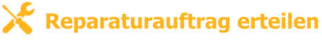Reparaturauftrag erteilen